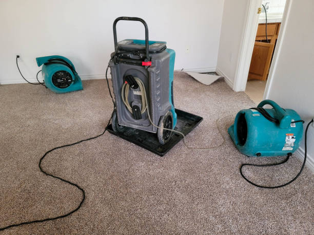 Best Water damage contractors near me  in Galva, KS