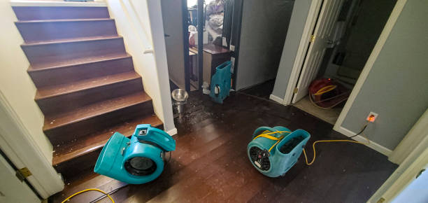  Galva, KS Water damage restoration Pros