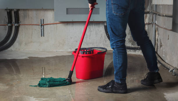 Best Water damage restoration insurance claims  in Galva, KS