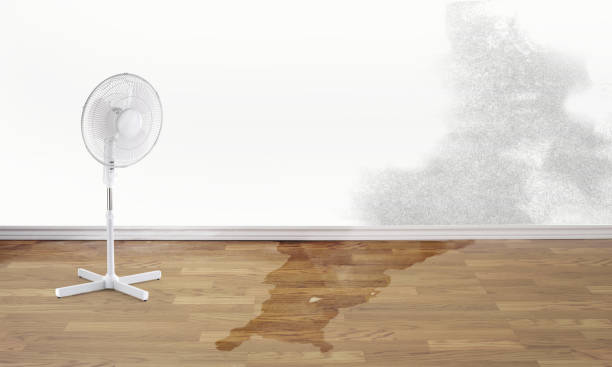 Best 24/7 water damage repair  in Galva, KS