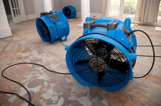 Best Water damage repair service  in Galva, KS