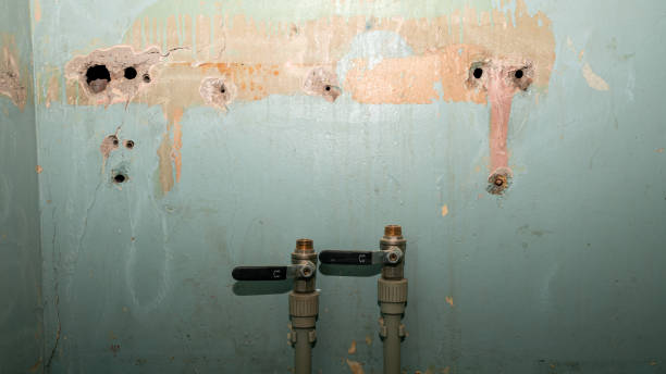 Best Commercial water damage restoration  in Galva, KS