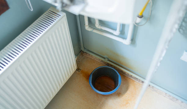 Best Water damage cleanup near me  in Galva, KS