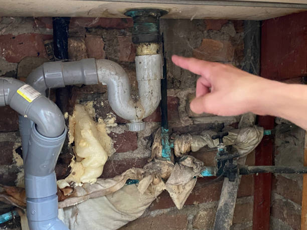 Best Fire Damage Restoration  in Galva, KS